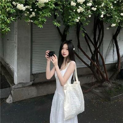 铁面无私海报